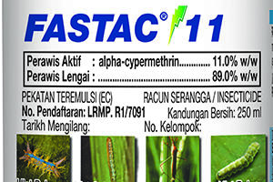 Fastac® 11