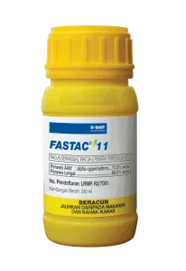 FASTAC 11