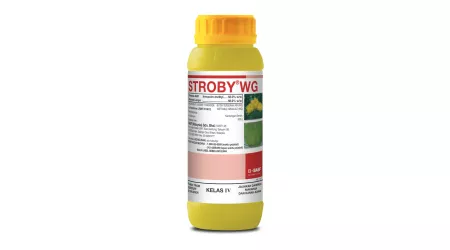 Stroby® WG Packshot - BASF Malaysia