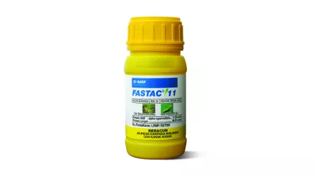 BASF Insecticide Fastac 11